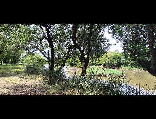17.90HA FARM FOR SALE IN BRITS RURAL